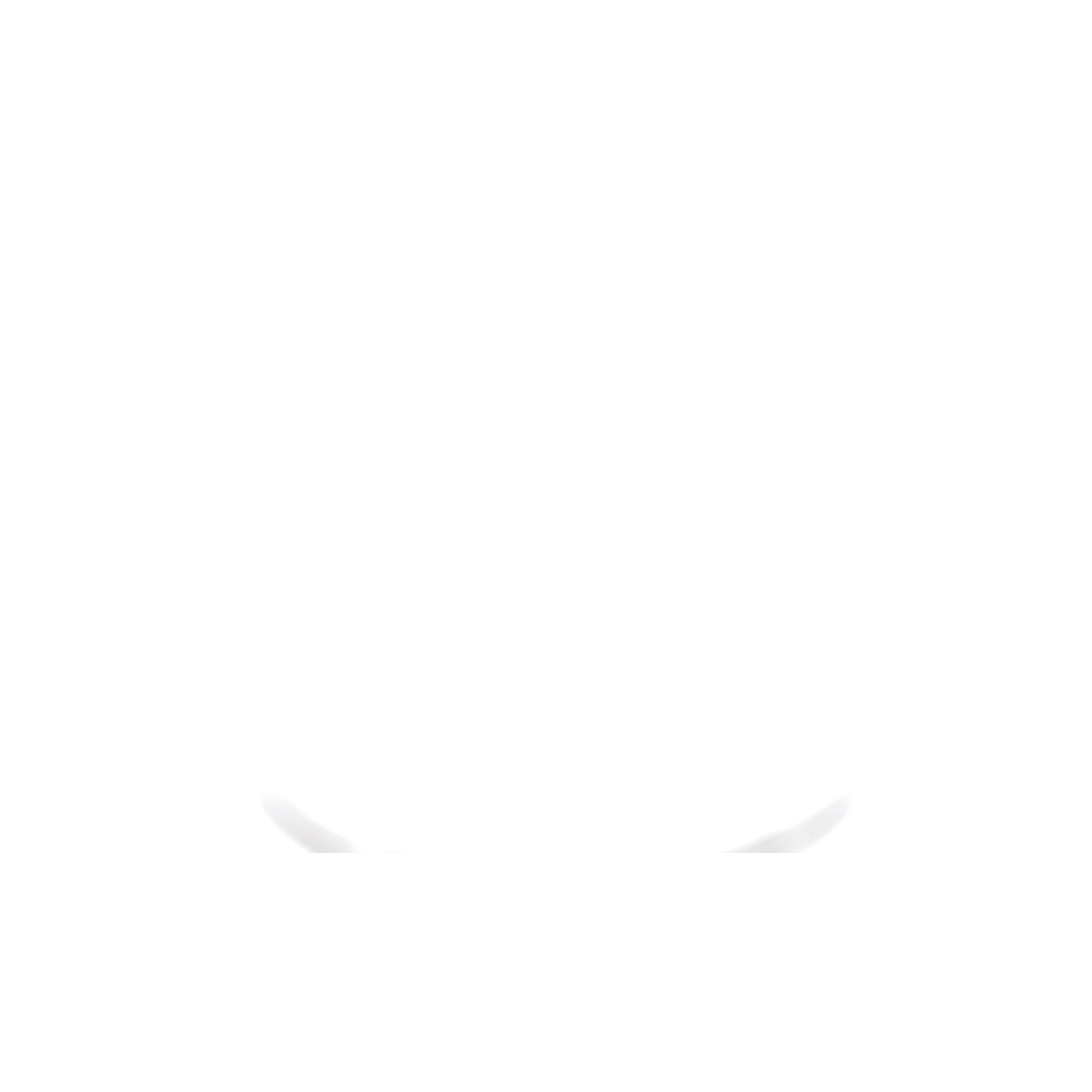 Sight glass flange  New